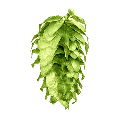 Photo of Cluster hop cones