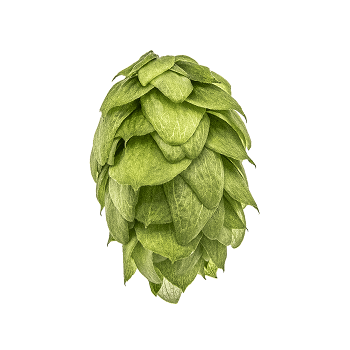 Photo of Crystal hop cones