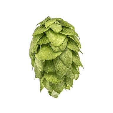 Photo of Crystal hop cones