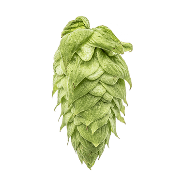 Photo of El Dorado® Brand hop cones