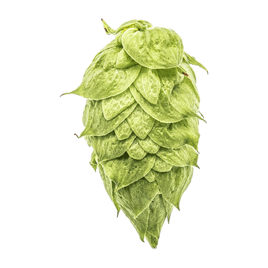 Photo of Ekuanot® Brand hop cones Photo of Ekuanot® Brand hop cones
