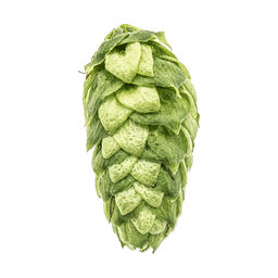 Photo of Loral® Brand hop cones