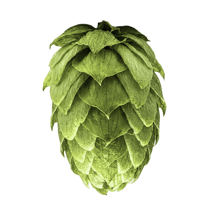 cone