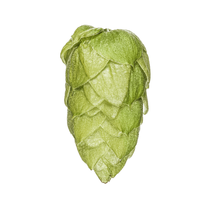 cone