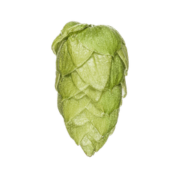 Photo of Riwaka™ Brand - NZ Hops hop cones