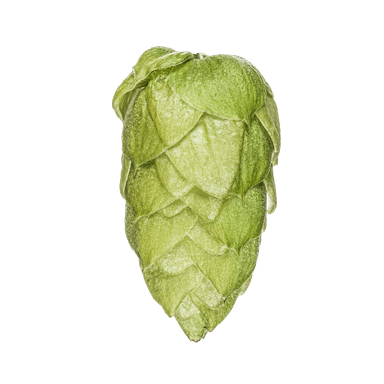Photo of Riwaka™ Brand - NZ Hops hop cones