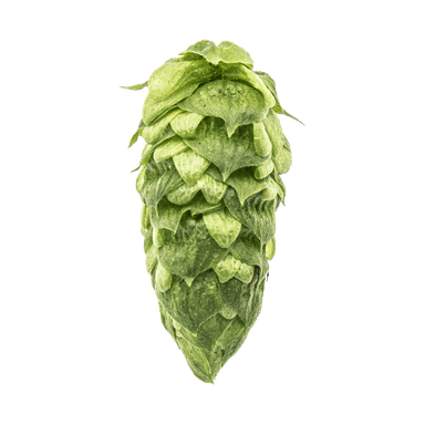 Photo of Simcoe® Brand hop cones
