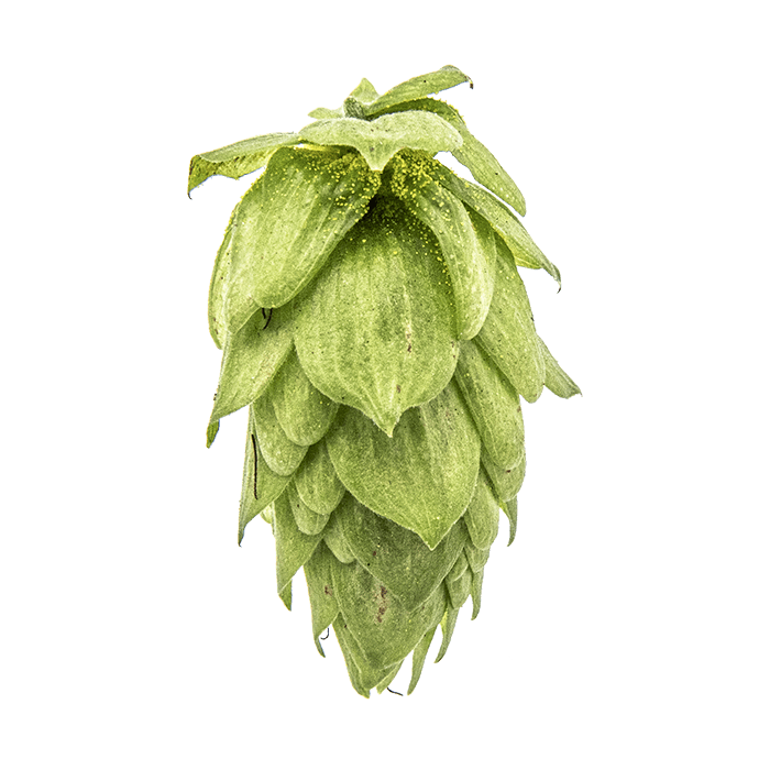 cone
