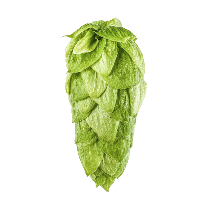 cone