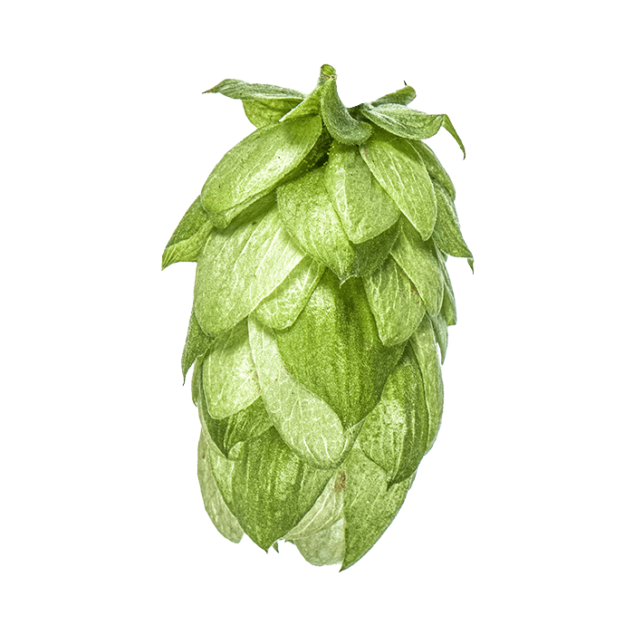 cone