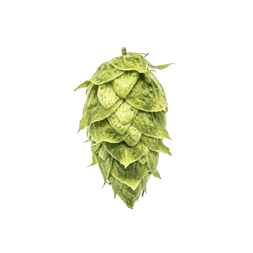 Photo of Ahtanum® Brand hop cones