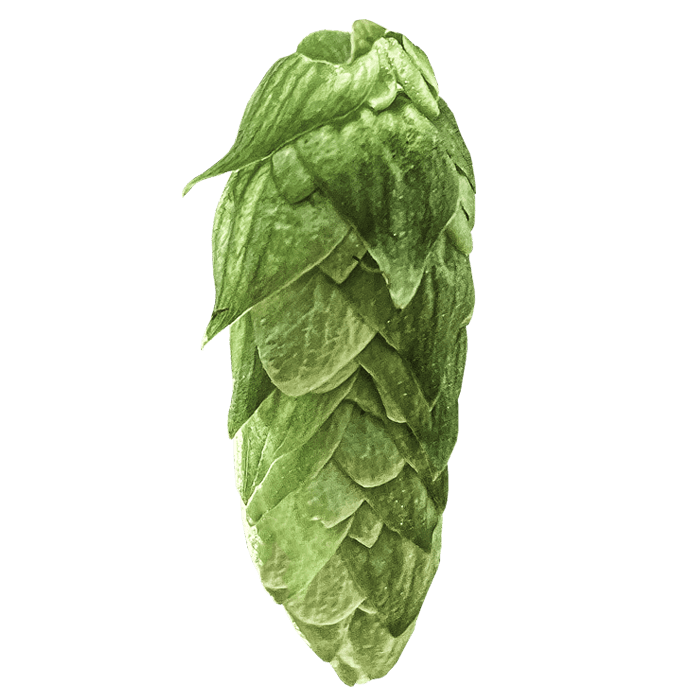 cone
