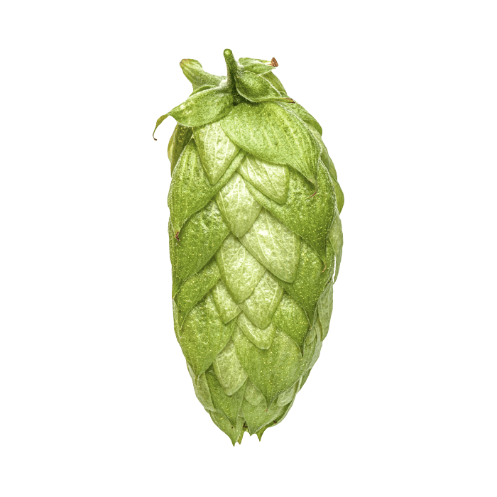 Photo of Waimea™ Brand - MacHops hop cones