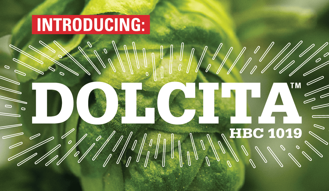 Hop cone with Dolcita logo in the center of the image