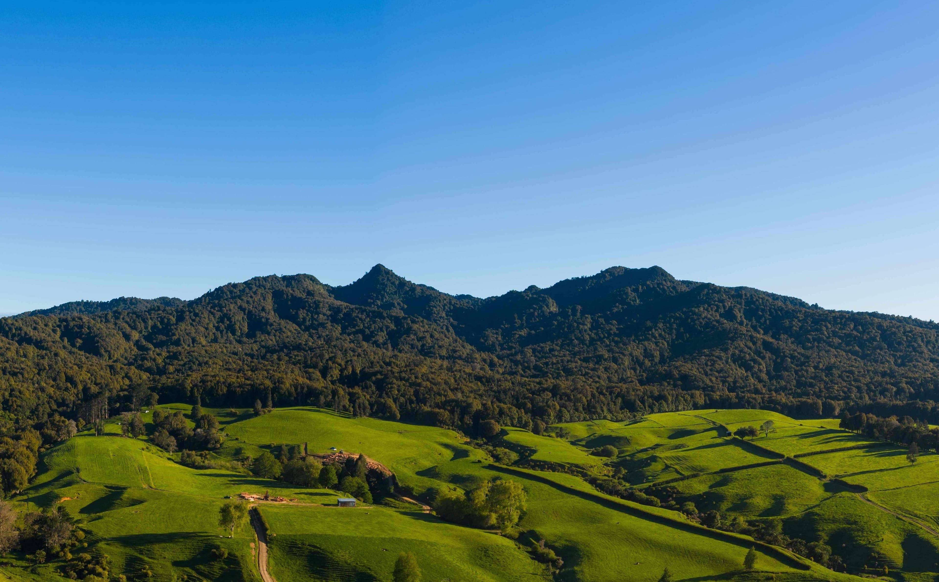 Mountain Maungatautari