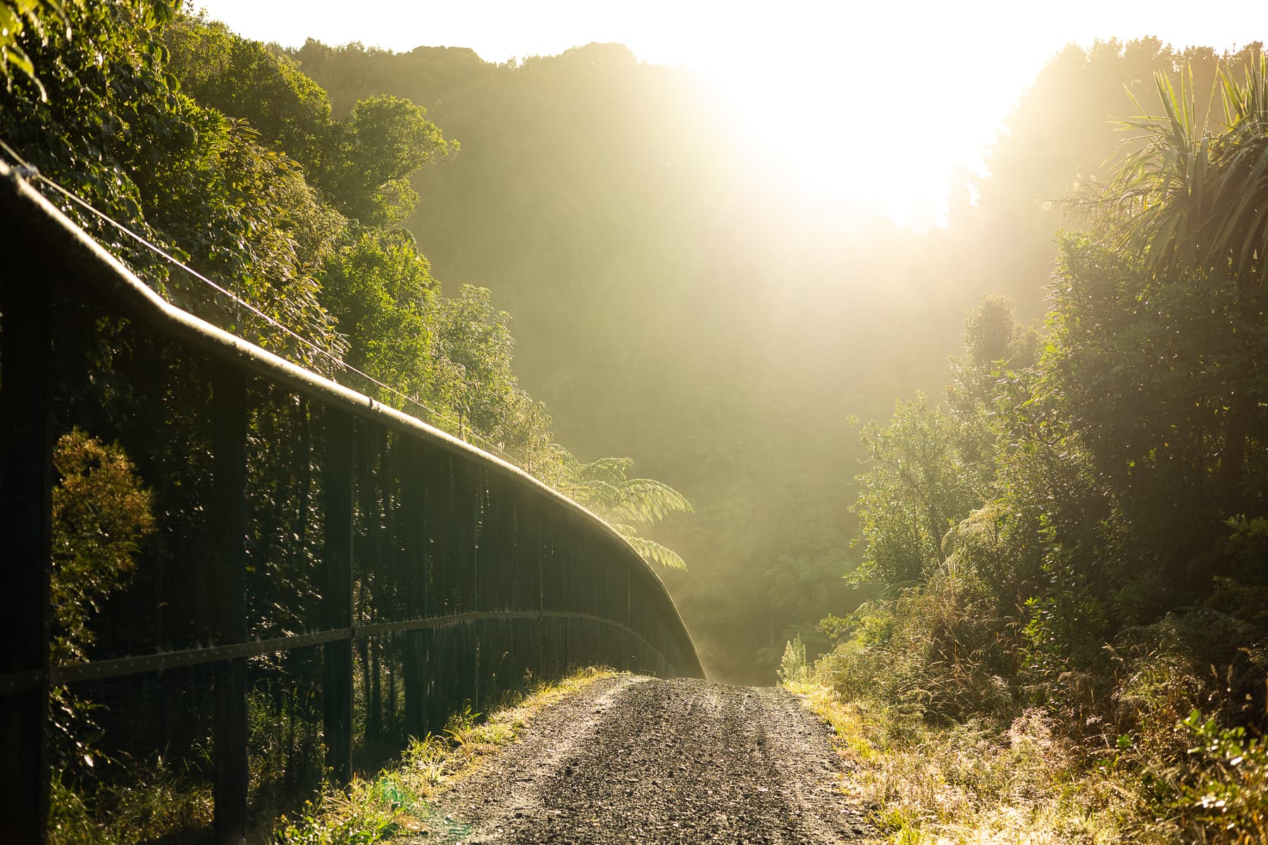 Sanctuary_Mountain_Maungatautari_fenceline.jpg