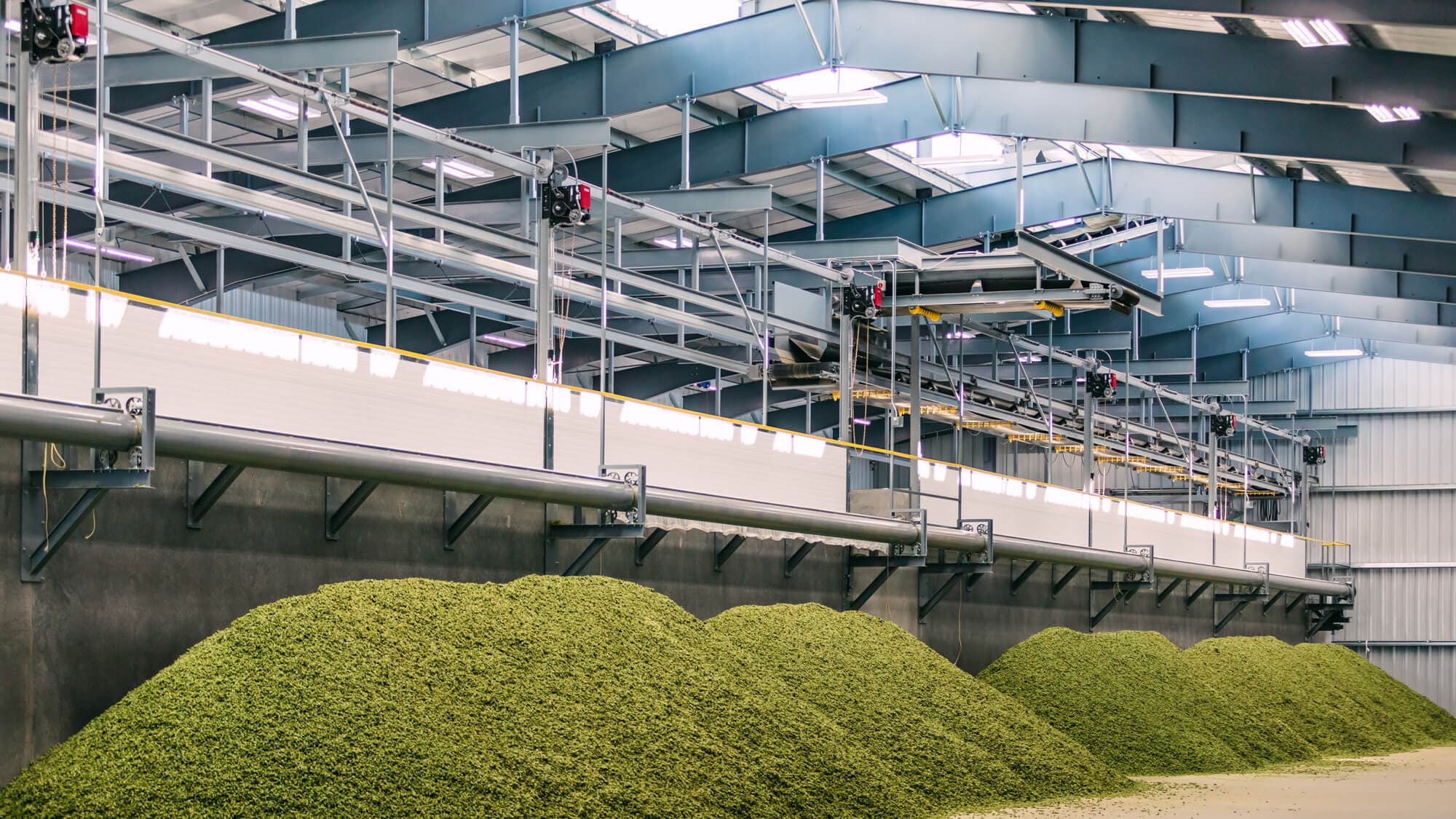 Image of large piles of hops in a baling room