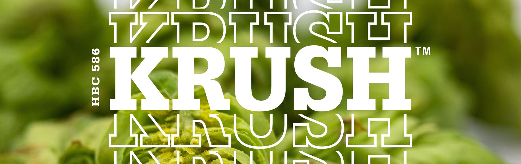 wysiwyg/Krush_Banners2.jpg