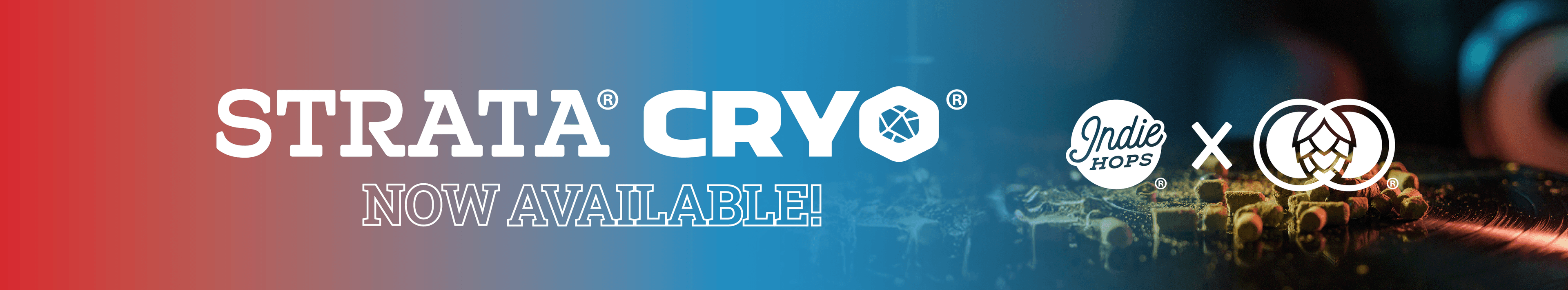 wysiwyg/Strata-CryoSpotBanner.png