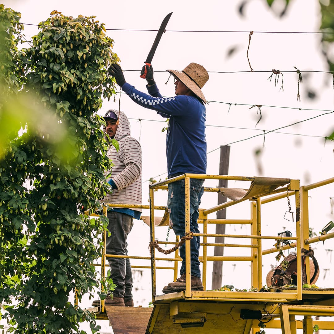 wysiwyg/1080x1080-Farmworker-4.jpg