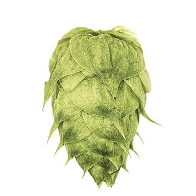 Photo of TerraSurge™ hop cones Photo of TerraSurge™ hop cones