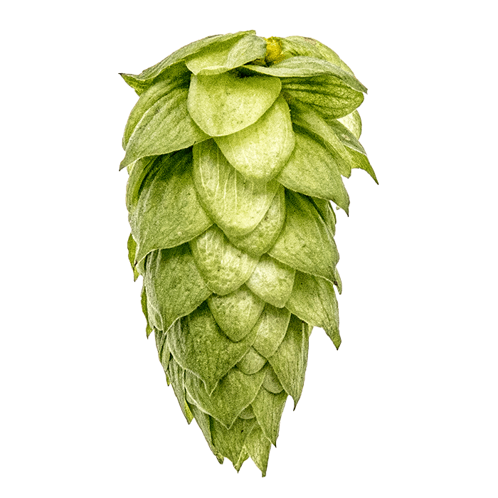 BRU-1™ Brand Cryo Hops® Pellets