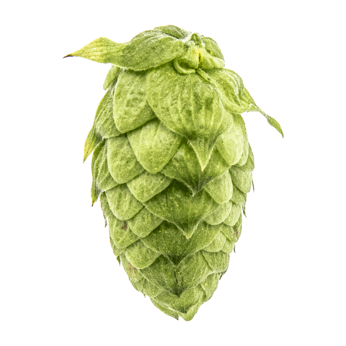 Bravo™ Brand T-90 Hop Pellets
