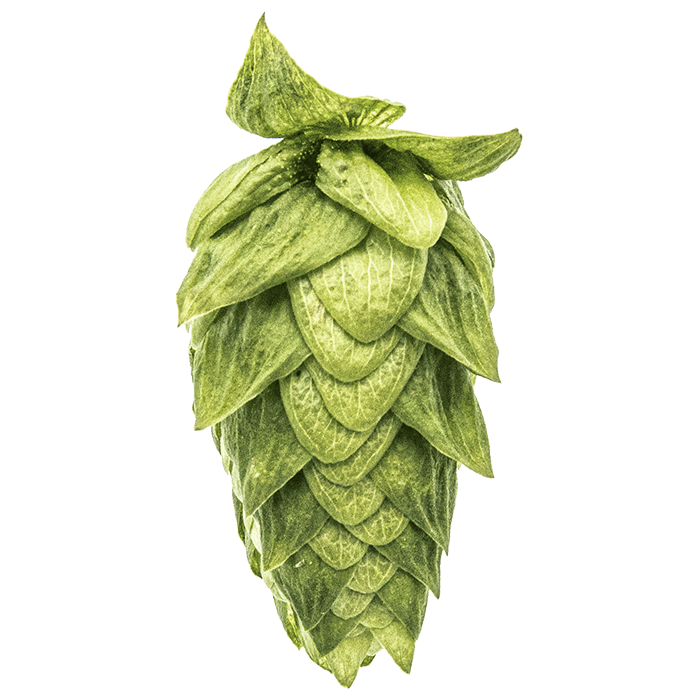 Cascade American Noble Hops™ Pellets